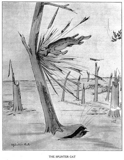 Splintercat